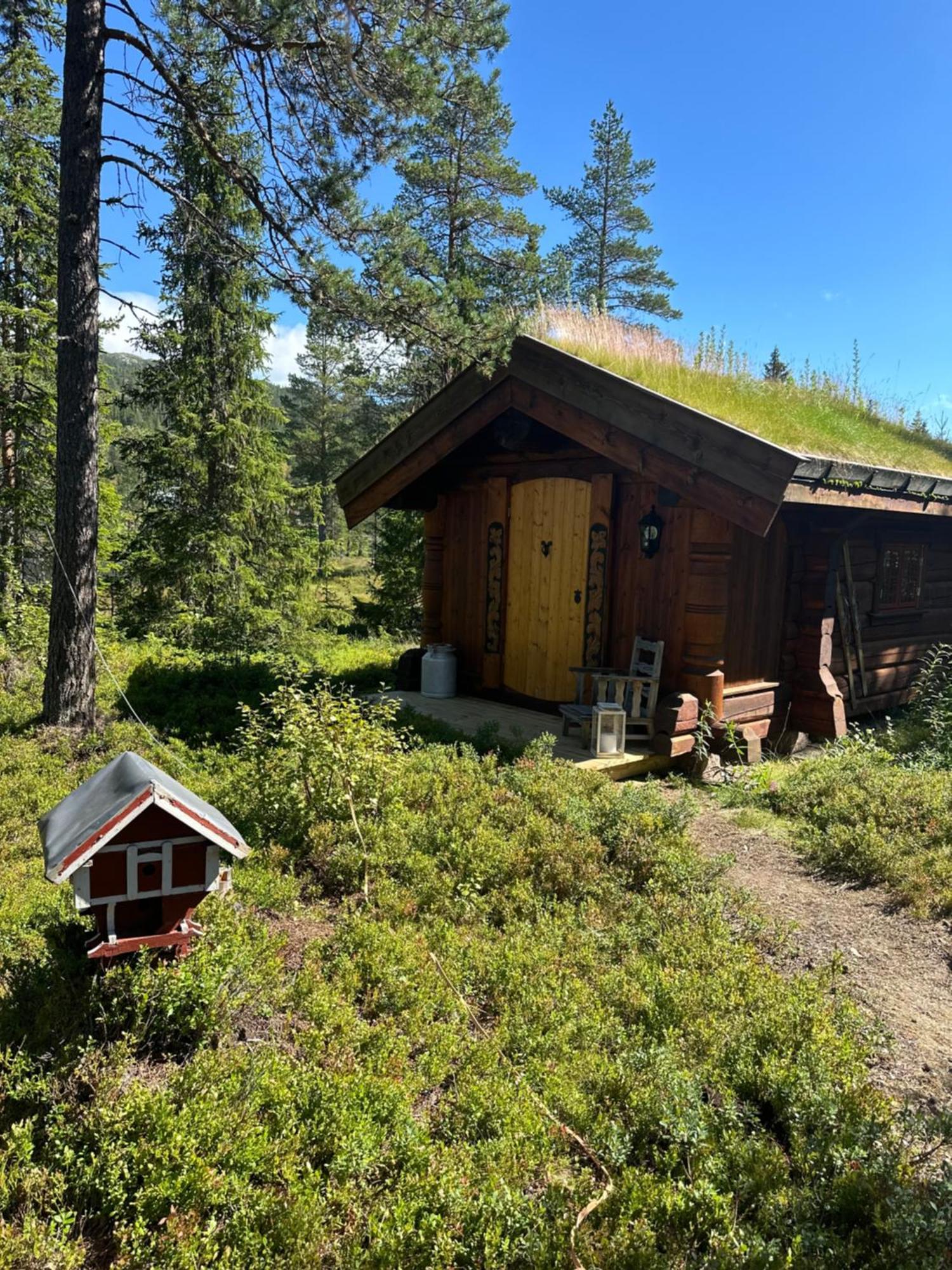 Hytta Pa Oyfjell别墅 外观 照片
