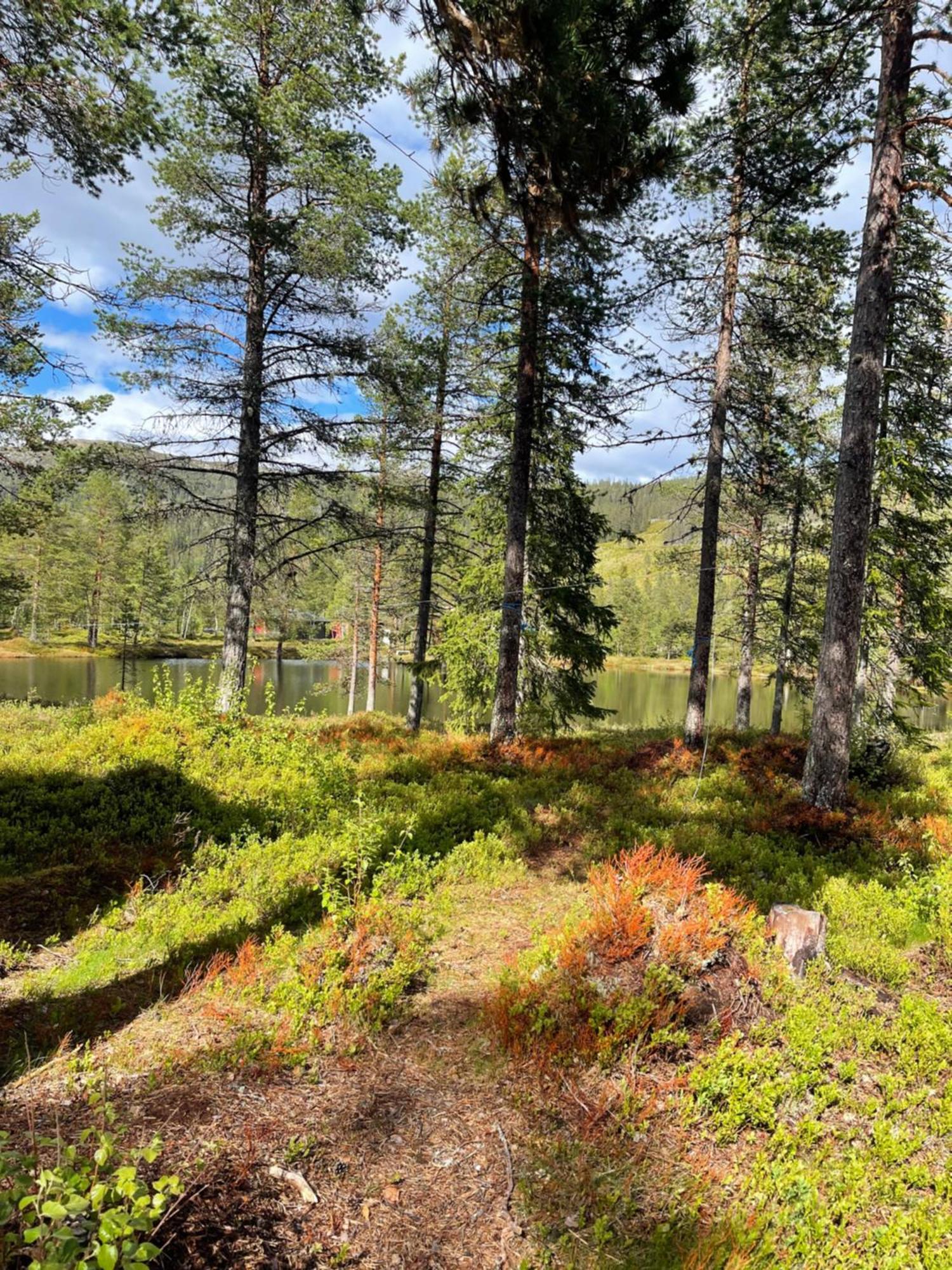 Hytta Pa Oyfjell别墅 外观 照片