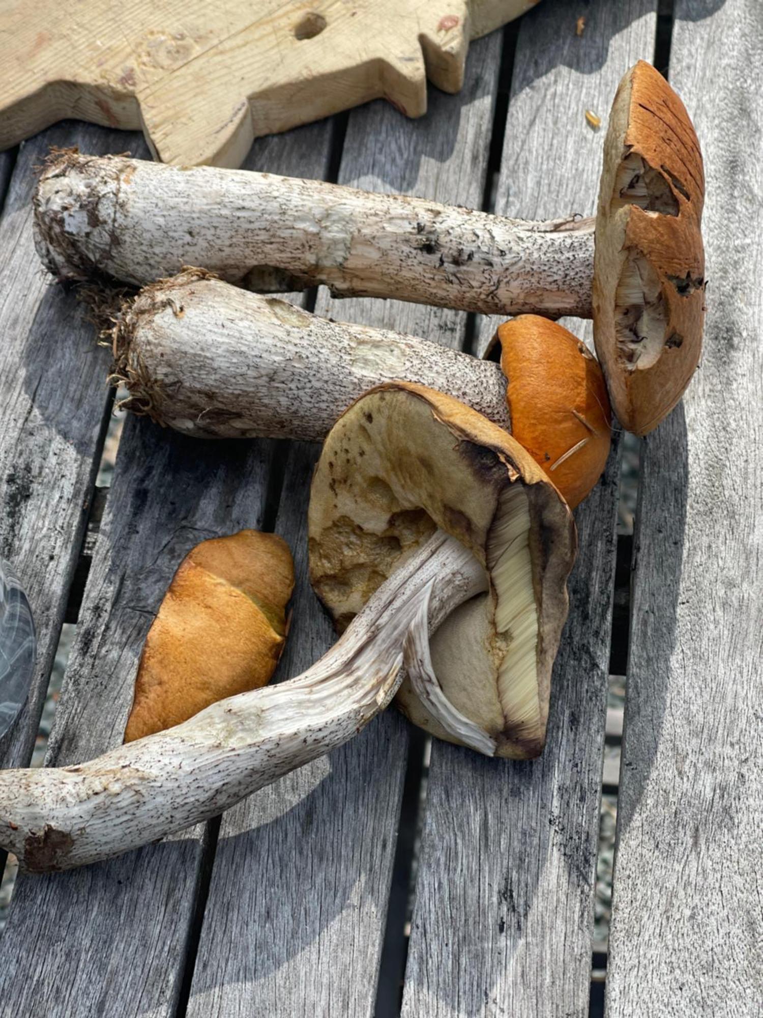 Hytta Pa Oyfjell别墅 外观 照片